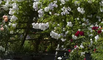 1A Garten Markenseite