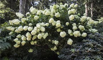 1A Garten Markenseite