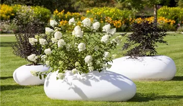 1A Garten Markenseite