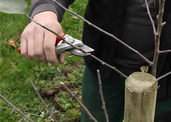 Oktober – Jetzt gibt es noch mal viel zu tun! Oktober – Jetzt gibt es noch mal viel zu tun!