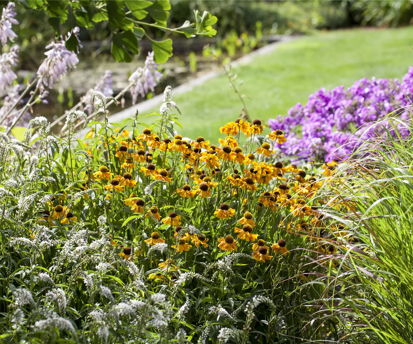 Frühjahrsputz im Staudenbeet