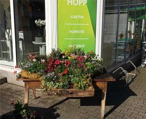 1A Garten Hopp