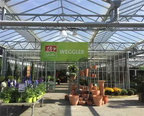 1A Garten Weggler