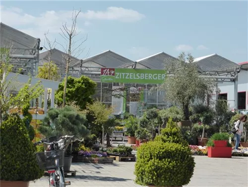 1A Garten Zitzelsberger