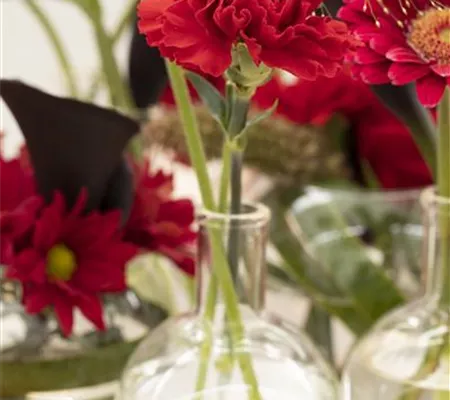 Schnittblumen - was hilft wirklich?