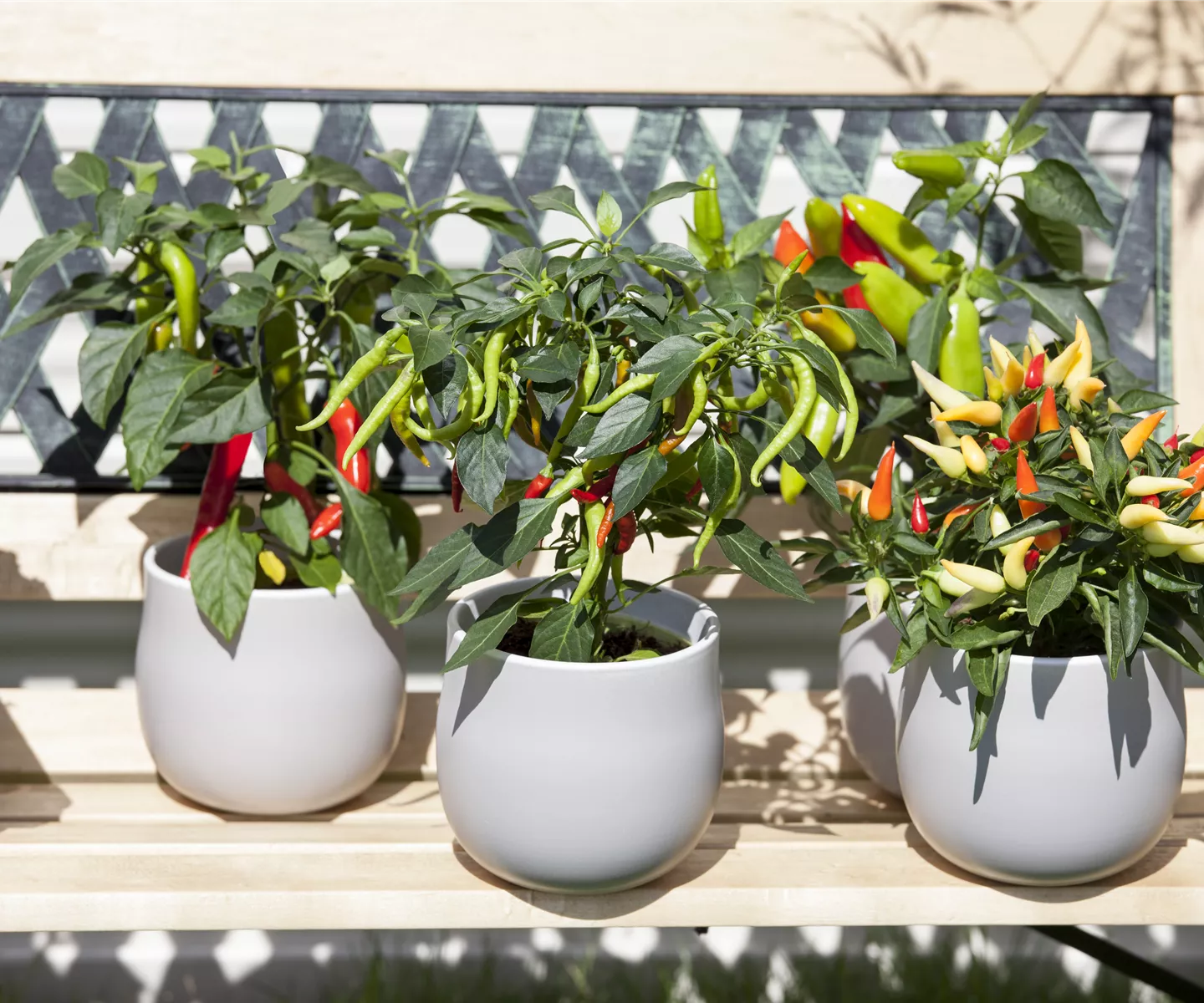 Urbaner Garten – was ist das?