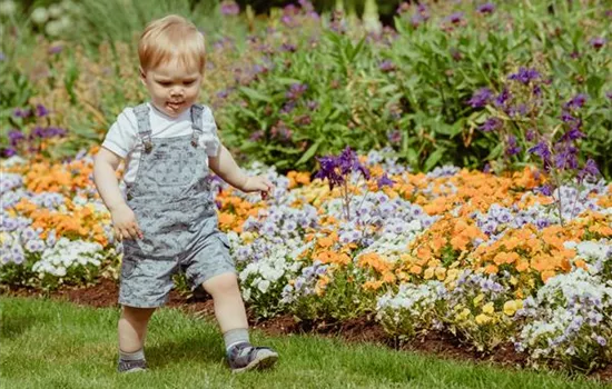 Das richtige Blumenbeet im Garten – so gelingt das Anlegen
