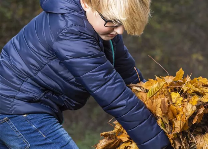 Laub- und Reisighaufen für Igel und Co. Laub- und Reisighaufen für Igel und Co.