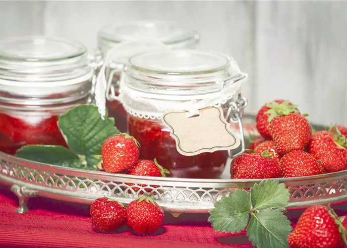 Erntegut haltbar machen Erntegut haltbar machen