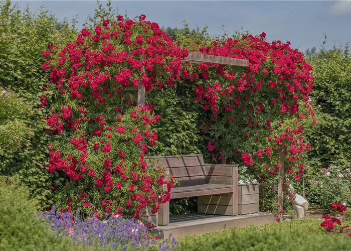 So werden Cottage-Träume wahr So werden Cottage-Träume wahr